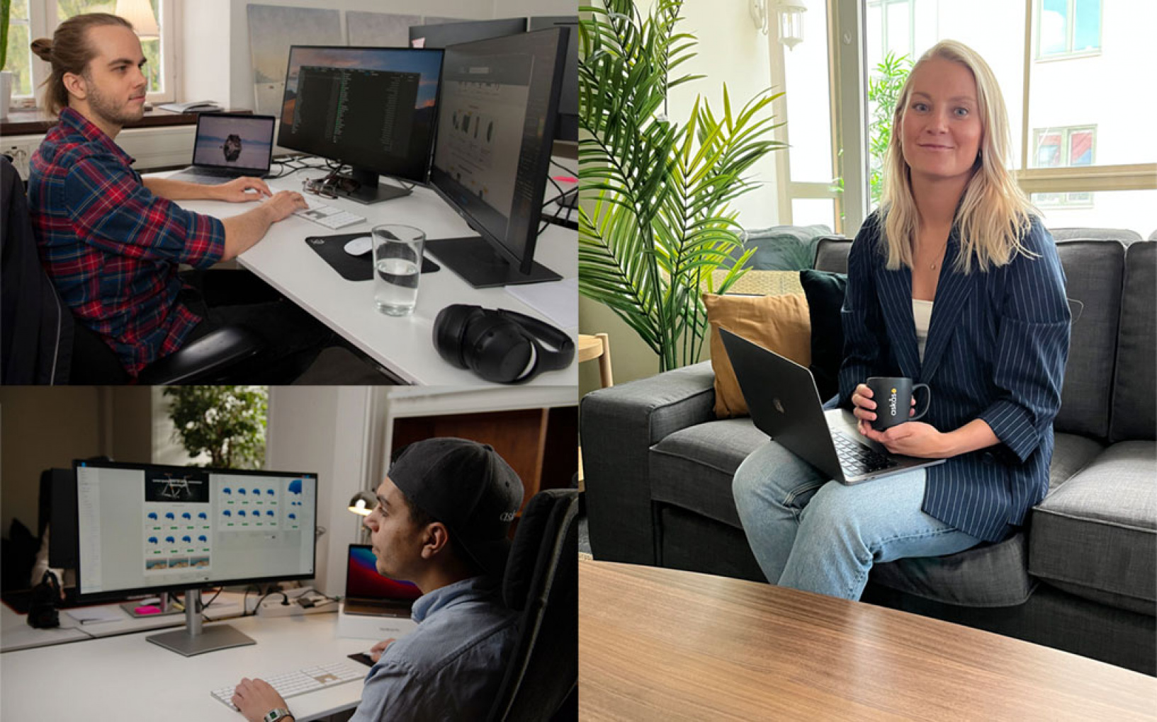 Snabbväxande Askås söker seniora utvecklare för frontend och backend