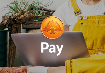 Swedbank Pay