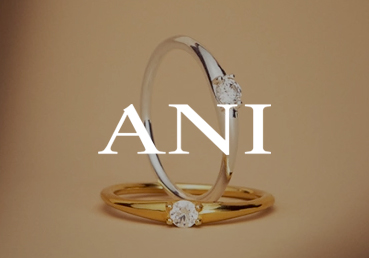 Ani-Jewels