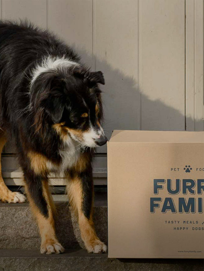 Bilden visar Askås kund Furry Family.