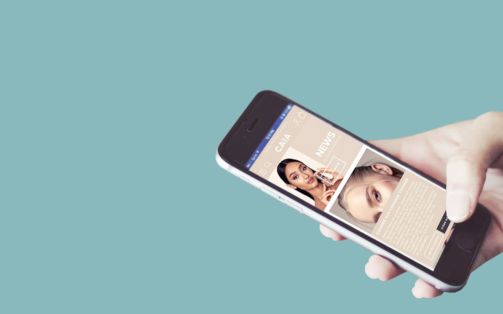 Askås Cookie Manager i gruppen Funktioner hos Askås I&R AB (askas_0023)